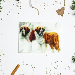 rough and smooth St Bernard - painting Postcard