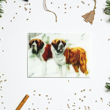 Rough And Smooth St Bernard - Painting Postcard by almawad at Zazzle
