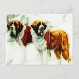 rough and smooth St Bernard - painting
