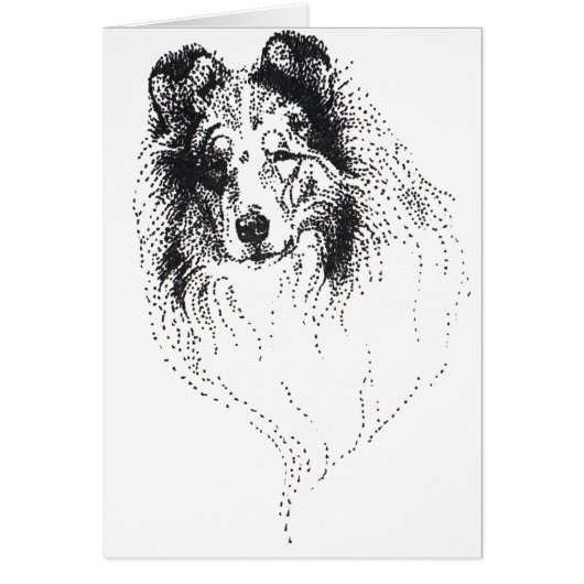 Rough Blue Merle Collie Cards (Front)