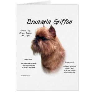 Rough Brussels Griffon History