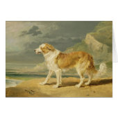 Rough-coated Collie, 1809 (oil on board) (Front Horizontal)