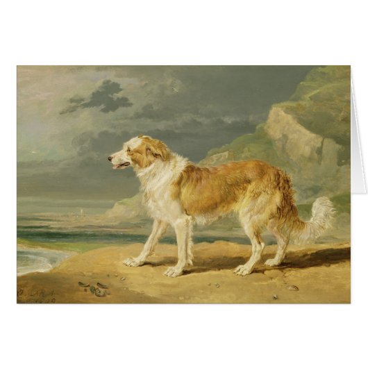 Rough-coated Collie, 1809 (oil on board) Cards (Front Horizontal)