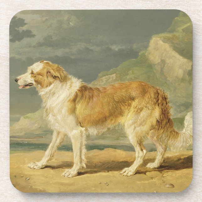 Rough-coated Collie, 1809 (oil on board) Drink Coaster (Front)
