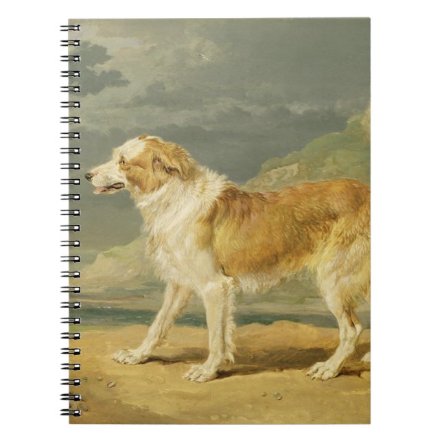 Rough-coated Collie, 1809 (oil on board) Notebook (Front)
