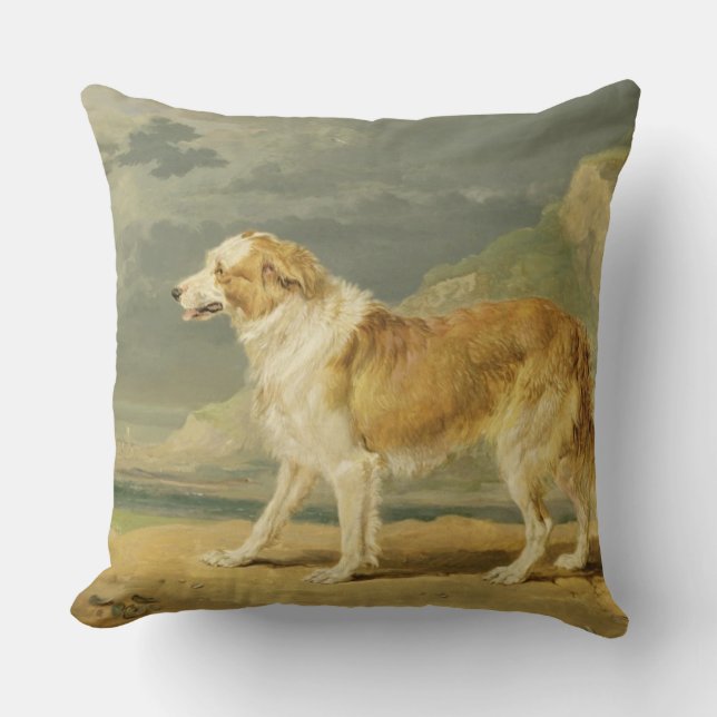 Rough-coated Collie, 1809 (oil on board) Throw Pillow (Front)