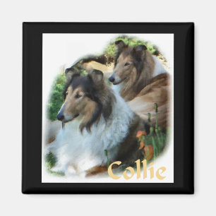 Rough Collie Art Gifts Magnet