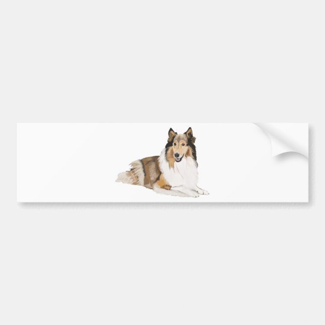 Rough Collie Bumper Sticker (Front)