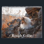 Rough Collie Calendar<br><div class="desc">A Calendar with 12 different pictures of Rough Collie</div>