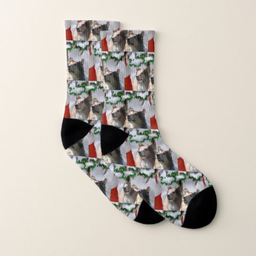 Rough Collie Christmas Socks