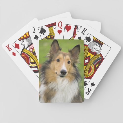 Rough Collie dog animal Playing Cards