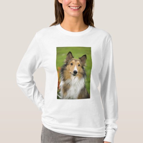 Rough Collie dog animal T_Shirt