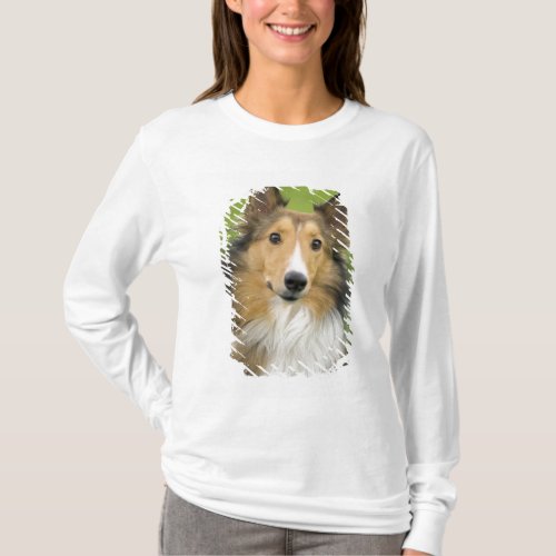 Rough Collie dog animal T_Shirt