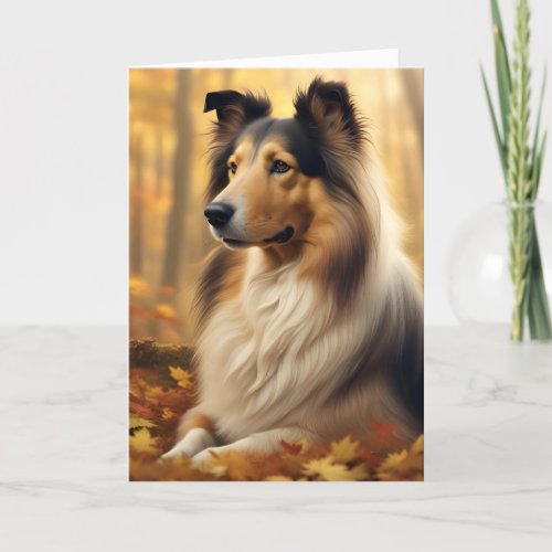 Rough Collie dog beautiful blank greeting card