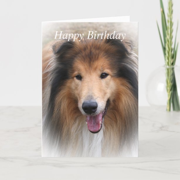 Rough Collie Birthday Cards | Zazzle