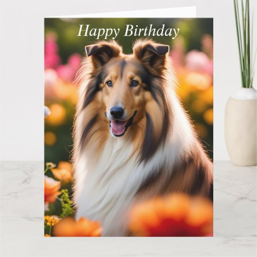 Rough Collie dog beautiful custom birthday card