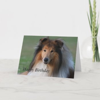 Rough Collie Dog Beautiful Custom Birthday Card by roughcollie at Zazzle