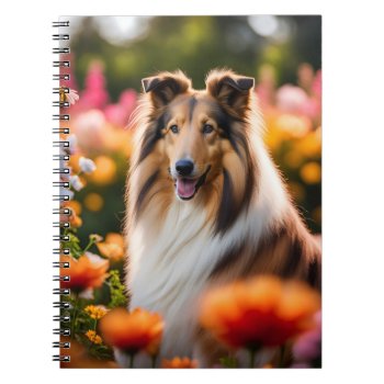 Rough Collie Dog Beautiful Notebook by roughcollie at Zazzle
