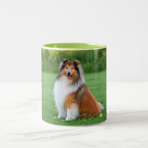 Rough Collie dog beautiful photo coffee mug gift Two_Tone Coffee Mug