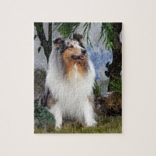 Rough Collie dog beautiful photo jigsaw puzzle