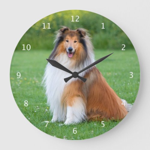 Rough collie dog beautiful photo portrait large clock