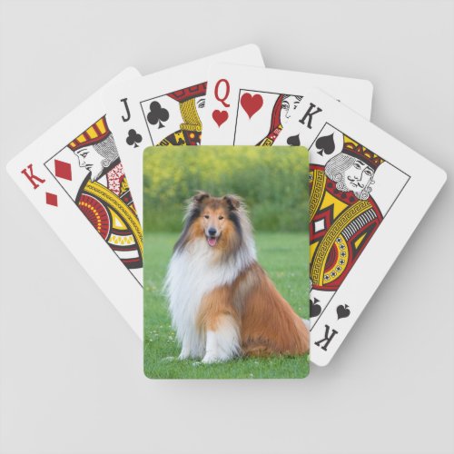 Rough Collie dog beautiful photo portrait Playing Cards
