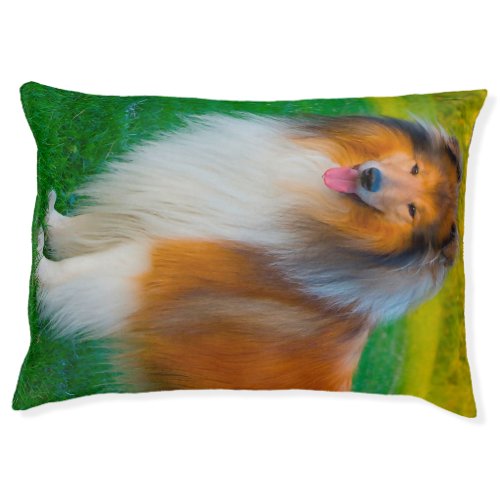 Rough Collie Dog Beds Pet Bed