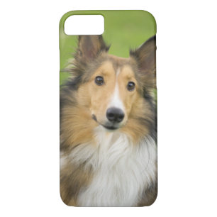 Rough Collie, dog iPhone 8/7 Case
