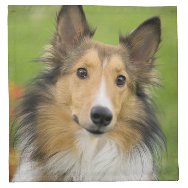 Rough Collie, dog Cloth Napkin (Front)