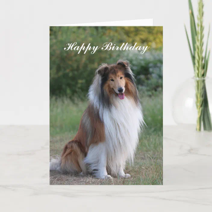 No 1 Rough Collie Get Well Soon Card by Starprint 