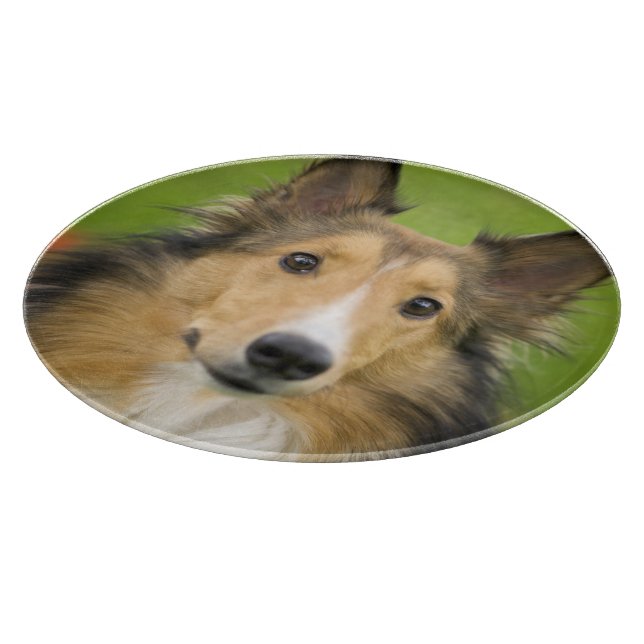 Rough Collie, dog Cutting Board (Corner)