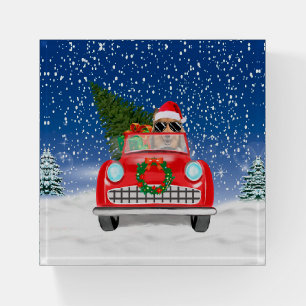 Rough Collie Dog Driving Car In Snow Christmas  Paperweight