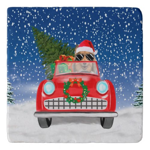 Rough Collie Dog Driving Car In Snow Christmas  Trivet