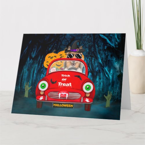 Rough Collie Dog Driving Car Scary Halloween Card