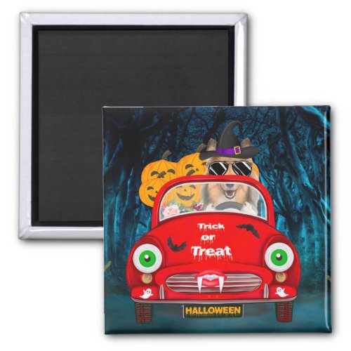 Rough Collie Dog Driving Car Scary Halloween Magnet