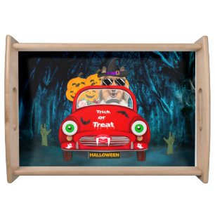 Rough Collie Dog Driving Car Scary Halloween Serving Tray