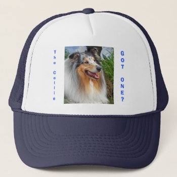 Rough Collie Dog Got One? Fun  Humorous Cap  Hat by roughcollie at Zazzle