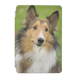 Rough Collie, dog iPad Mini Cover