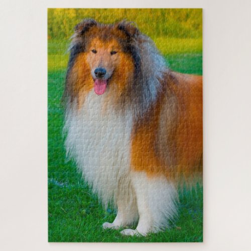 Rough Collie Dog Jigsaws Jigsaw Puzzle