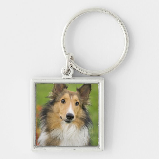 Rough Collie, dog Keychain (Front)