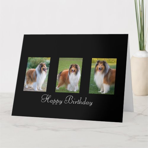 Rough Collie dog lovers custom birthday card