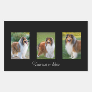 Rough Collie dog lovers custom stickers