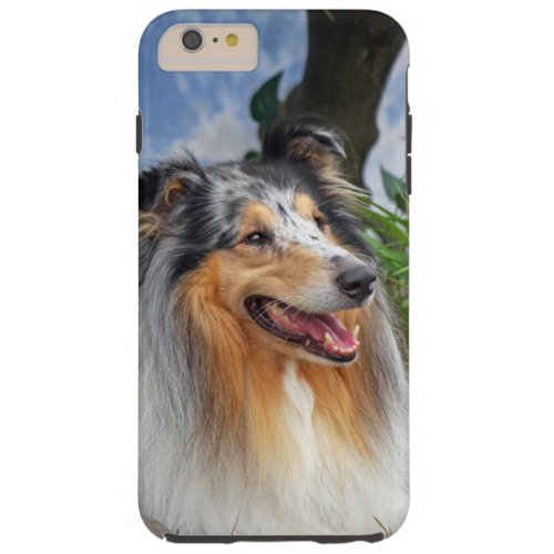 Rough Collie dog lovers photo iphone 6 case