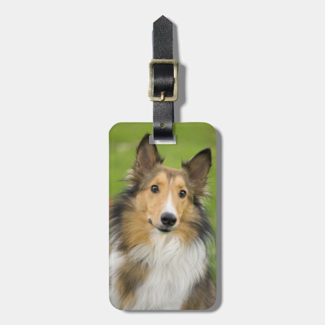 Rough Collie, dog Luggage Tag (Front Vertical)