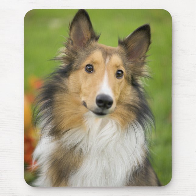 Rough Collie, dog Mouse Pad (Front)