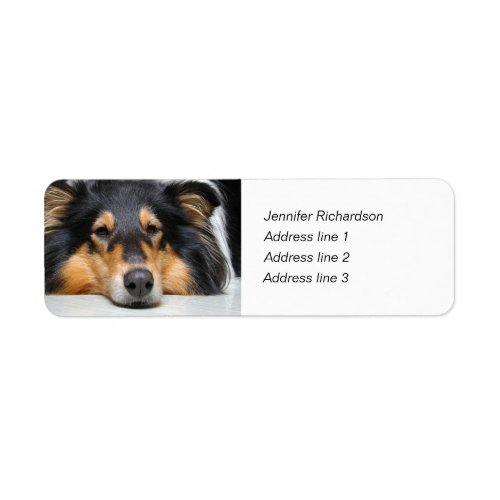 Rough collie dog nose custom return address labels