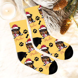 Rough Collie Dog Personalized Christmas Gift Socks