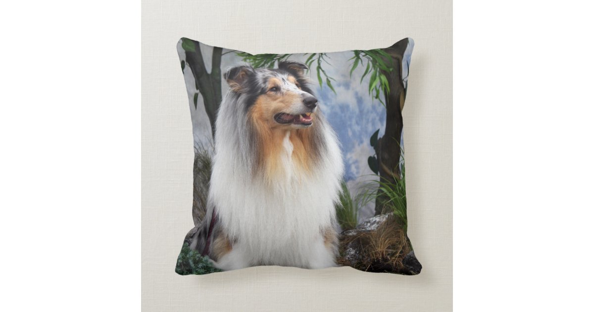 collie home pillow
