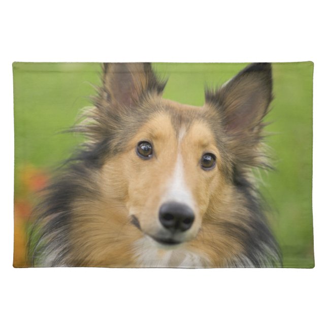 Rough Collie, dog Placemat (Front)