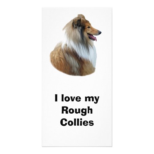 Rough Collie dog portrait photo Card